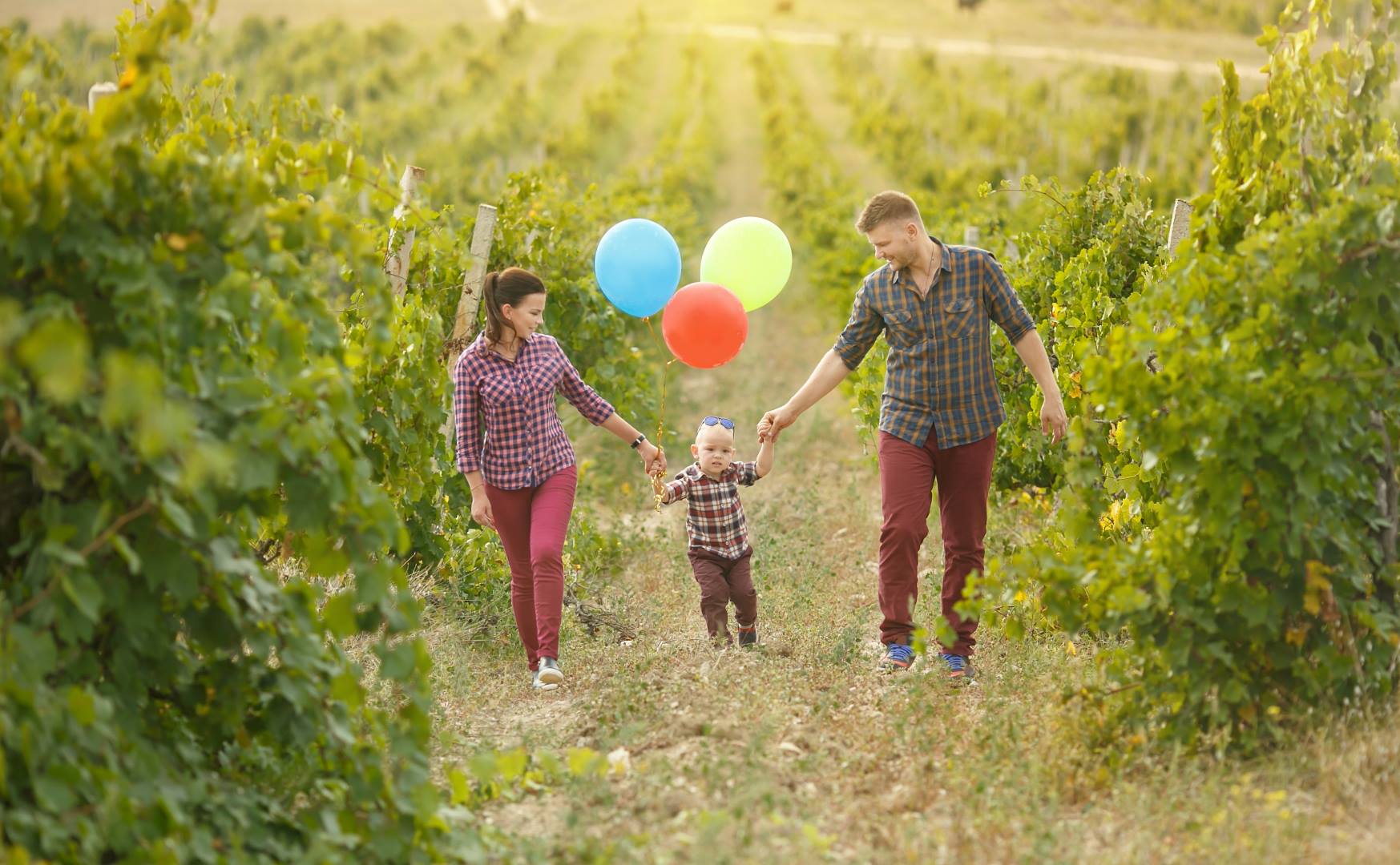 پیوست خانواده فرانسه