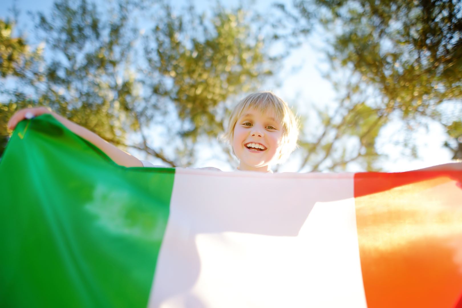 پیوست خانواده ایرلند