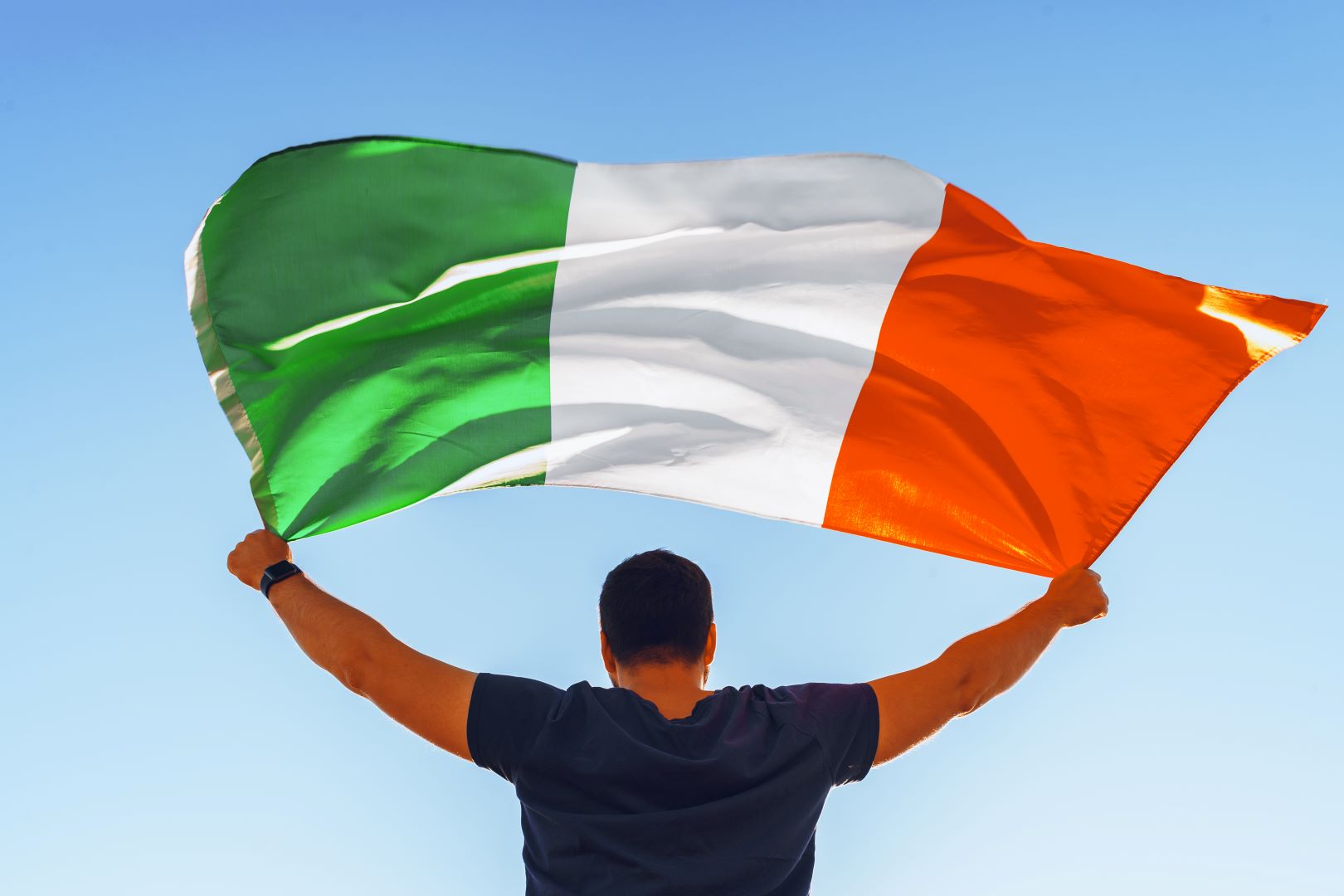 پیوست خانواده ایرلند