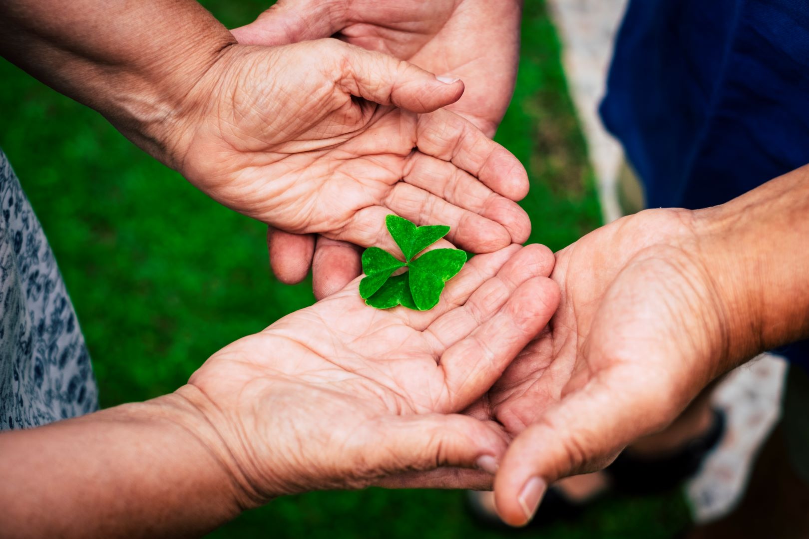 پیوست خانواده ایرلند