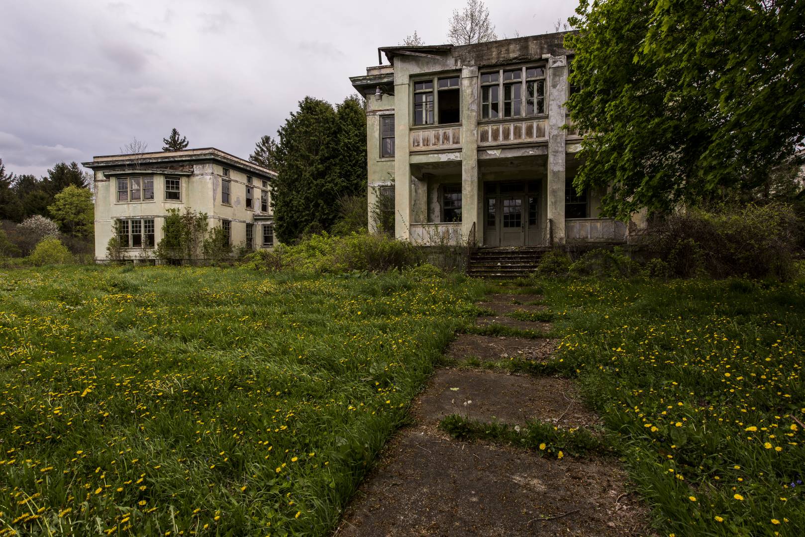 اقامت از طریق پناهندگی در سوئیس