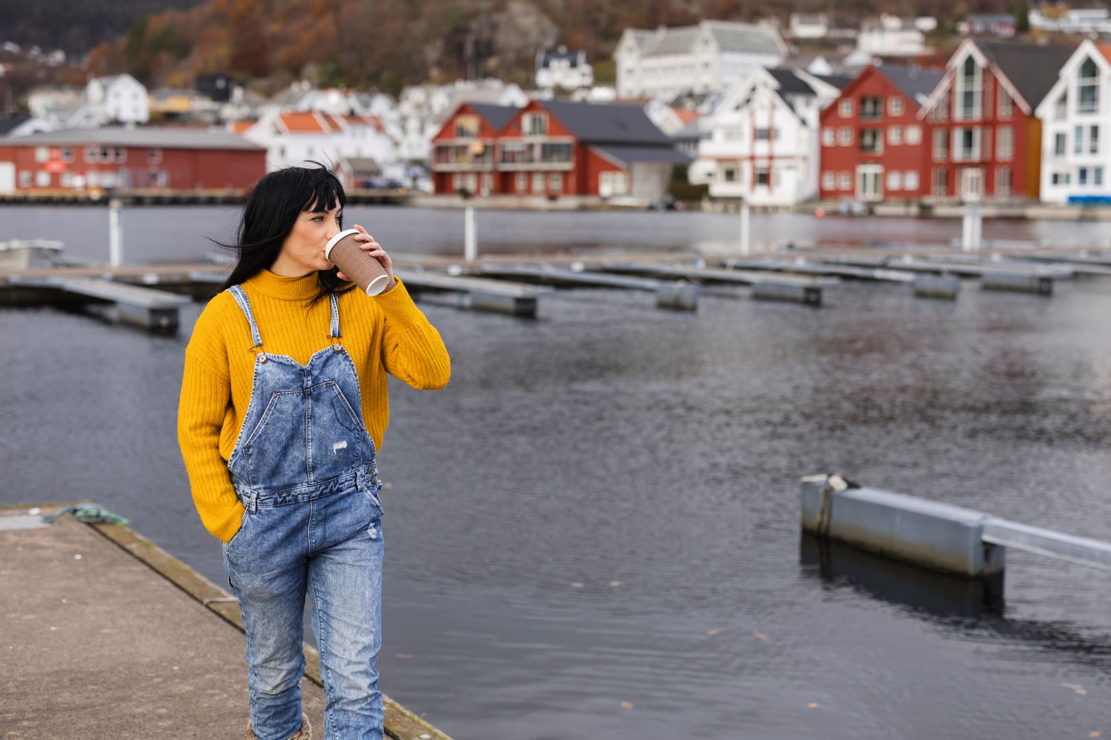 اقامت کاری از طریق نیروی متخصص در نروژ