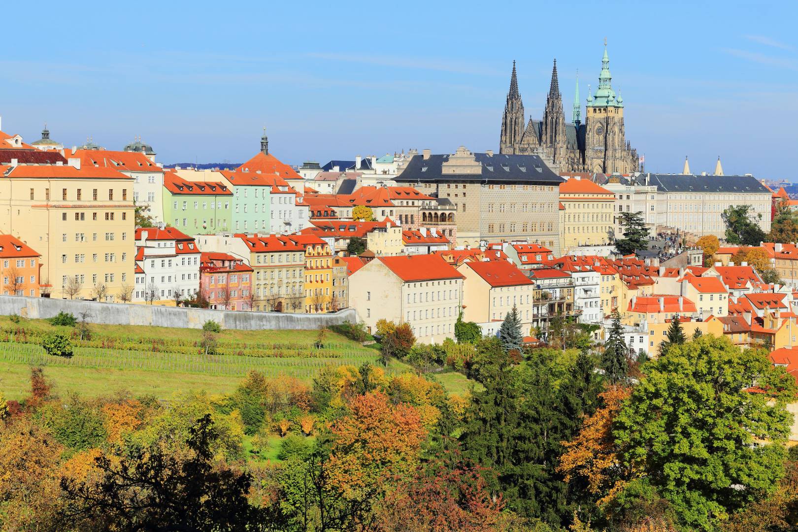 مهاجرت به چک از طریق تخصص‌های کمیاب