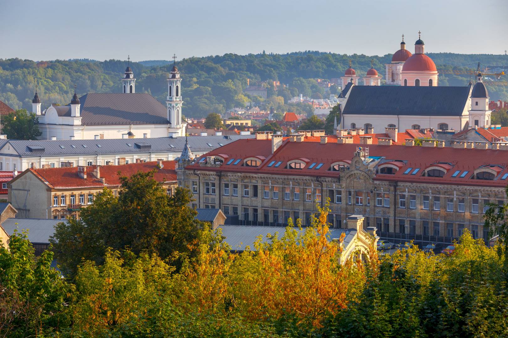 اقامت کارآفرینی در چک